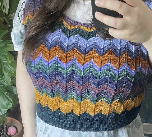 A mirror selfie from my waist up to my shoulders. I'm wearing a white t-shirt under a colorful knit vest. The vest has chevron stripes in varying widths in shades of green, gold, purple, and orange. My hand is in the foreground holding my phone.